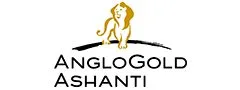 ANGLOGOLD-1-240x90
